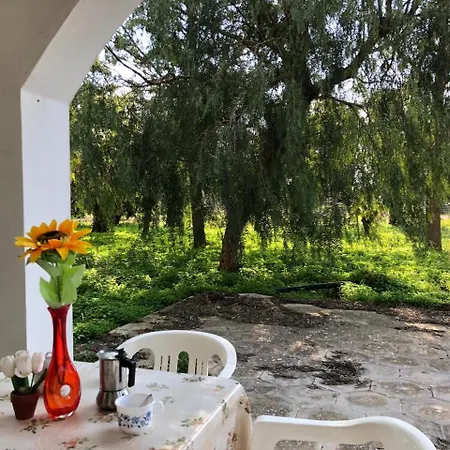 Farm stay L' Aranceto