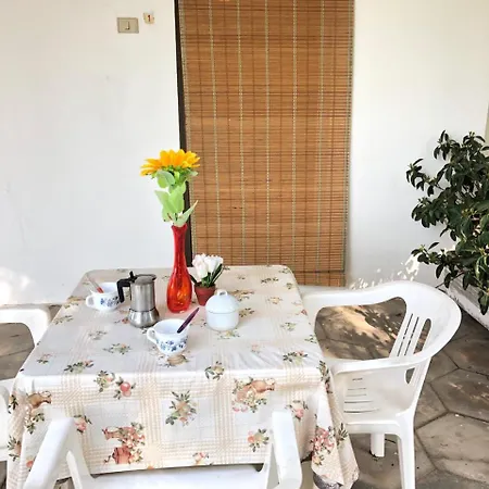 L' Aranceto Farm stay