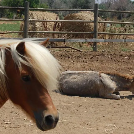 L' Aranceto Farm stay *