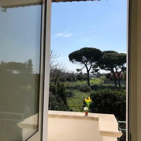 Farm stay L' Aranceto