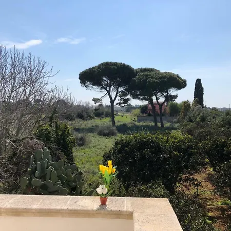 L' Aranceto Farm stay *