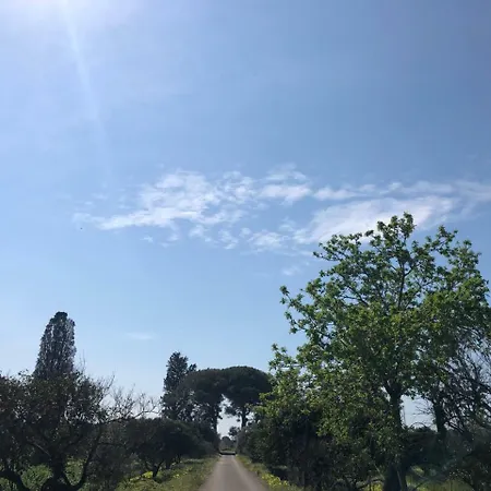 L' Aranceto Gallipoli